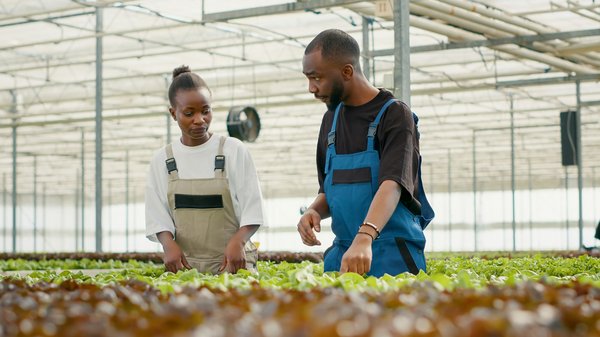 Lutte biologique : transformez votre jardin avec des solutions naturelles